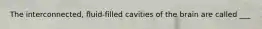 The interconnected, fluid-filled cavities of the brain are called ___