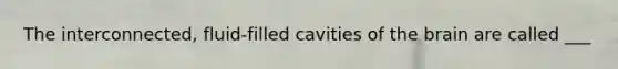 The interconnected, fluid-filled cavities of the brain are called ___