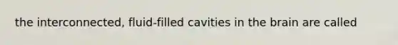 the interconnected, fluid-filled cavities in the brain are called