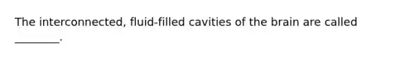 The interconnected, fluid-filled cavities of the brain are called ________.