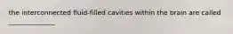 the interconnected fluid-filled cavities within the brain are called ______________