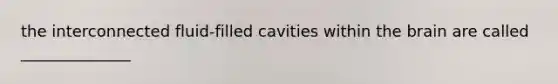 the interconnected fluid-filled cavities within the brain are called ______________