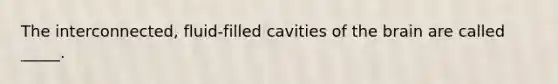 The interconnected, fluid-filled cavities of the brain are called _____.