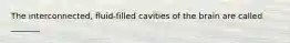 The interconnected, fluid-filled cavities of the brain are called _______