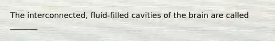 The interconnected, fluid-filled cavities of the brain are called _______