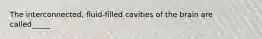 The interconnected, fluid-filled cavities of the brain are called_____