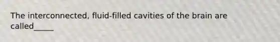 The interconnected, fluid-filled cavities of the brain are called_____