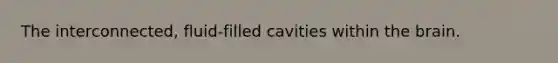 The interconnected, fluid-filled cavities within the brain.