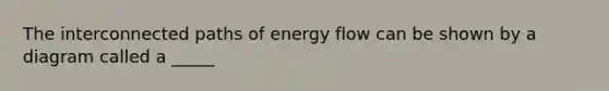 The interconnected paths of energy flow can be shown by a diagram called a _____