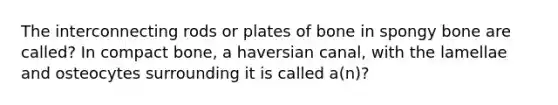 The interconnecting rods or plates of bone in spongy bone are called? In compact bone, a haversian canal, with the lamellae and osteocytes surrounding it is called a(n)?