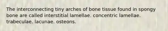 The interconnecting tiny arches of bone tissue found in spongy bone are called interstitial lamellae. concentric lamellae. trabeculae. lacunae. osteons.