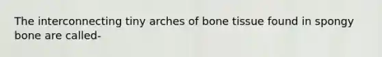 The interconnecting tiny arches of bone tissue found in spongy bone are called-