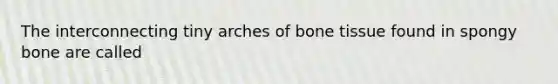 The interconnecting tiny arches of bone tissue found in spongy bone are called