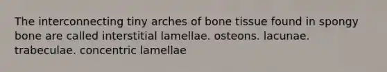 The interconnecting tiny arches of bone tissue found in spongy bone are called interstitial lamellae. osteons. lacunae. trabeculae. concentric lamellae