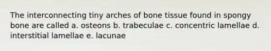 The interconnecting tiny arches of bone tissue found in spongy bone are called a. osteons b. trabeculae c. concentric lamellae d. interstitial lamellae e. lacunae