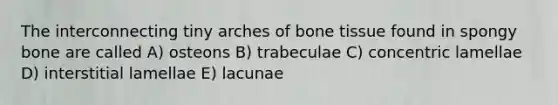 The interconnecting tiny arches of bone tissue found in spongy bone are called A) osteons B) trabeculae C) concentric lamellae D) interstitial lamellae E) lacunae