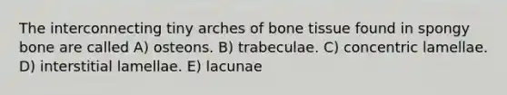 The interconnecting tiny arches of bone tissue found in spongy bone are called A) osteons. B) trabeculae. C) concentric lamellae. D) interstitial lamellae. E) lacunae