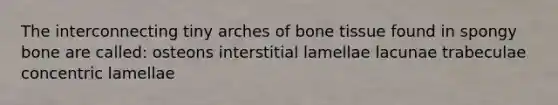 The interconnecting tiny arches of bone tissue found in spongy bone are called: osteons interstitial lamellae lacunae trabeculae concentric lamellae