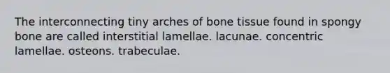 The interconnecting tiny arches of bone tissue found in spongy bone are called interstitial lamellae. lacunae. concentric lamellae. osteons. trabeculae.