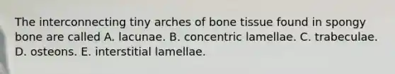 The interconnecting tiny arches of bone tissue found in spongy bone are called A. lacunae. B. concentric lamellae. C. trabeculae. D. osteons. E. interstitial lamellae.