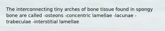 The interconnecting tiny arches of bone tissue found in spongy bone are called -osteons -concentric lamellae -lacunae -trabeculae -interstitial lamellae