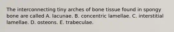 The interconnecting tiny arches of bone tissue found in spongy bone are called A. lacunae. B. concentric lamellae. C. interstitial lamellae. D. osteons. E. trabeculae.