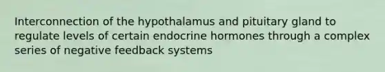 Interconnection of the hypothalamus and pituitary gland to regulate levels of certain endocrine hormones through a complex series of negative feedback systems