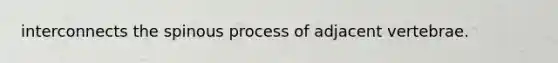 interconnects the spinous process of adjacent vertebrae.
