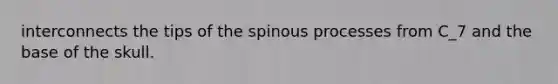 interconnects the tips of the spinous processes from C_7 and the base of the skull.