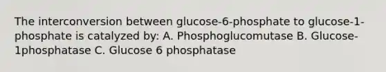 The interconversion between glucose-6-phosphate to glucose-1-phosphate is catalyzed by: A. Phosphoglucomutase B. Glucose-1phosphatase C. Glucose 6 phosphatase