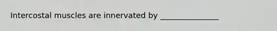 Intercostal muscles are innervated by _______________