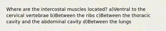 Where are the intercostal muscles located? a)Ventral to the cervical vertebrae b)Between the ribs c)Between the thoracic cavity and the abdominal cavity d)Between the lungs