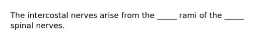 The intercostal nerves arise from the _____ rami of the _____ <a href='https://www.questionai.com/knowledge/kyBL1dWgAx-spinal-nerves' class='anchor-knowledge'>spinal nerves</a>.