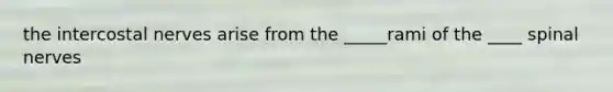 the intercostal nerves arise from the _____rami of the ____ <a href='https://www.questionai.com/knowledge/kyBL1dWgAx-spinal-nerves' class='anchor-knowledge'>spinal nerves</a>