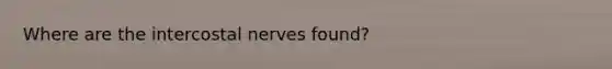 Where are the intercostal nerves found?