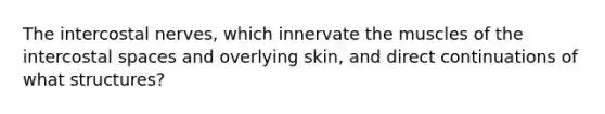 The intercostal nerves, which innervate the muscles of the intercostal spaces and overlying skin, and direct continuations of what structures?