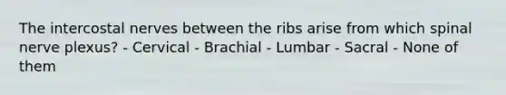 The intercostal nerves between the ribs arise from which spinal nerve plexus? - Cervical - Brachial - Lumbar - Sacral - None of them