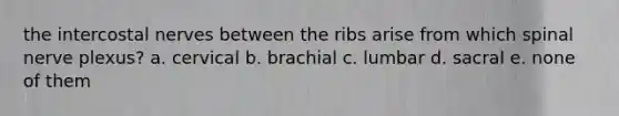 the intercostal nerves between the ribs arise from which spinal nerve plexus? a. cervical b. brachial c. lumbar d. sacral e. none of them