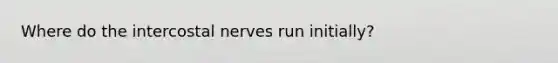 Where do the intercostal nerves run initially?