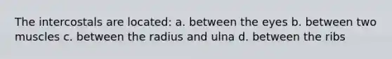 The intercostals are located: a. between the eyes b. between two muscles c. between the radius and ulna d. between the ribs