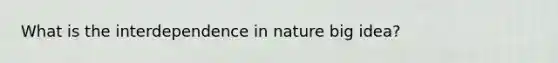 What is the interdependence in nature big idea?