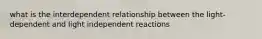 what is the interdependent relationship between the light-dependent and light independent reactions