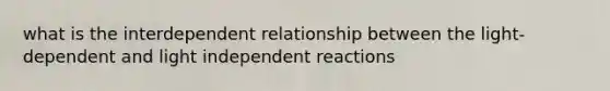 what is the interdependent relationship between the light-dependent and light independent reactions