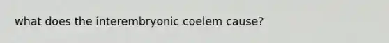 what does the interembryonic coelem cause?