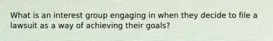 What is an interest group engaging in when they decide to file a lawsuit as a way of achieving their goals?