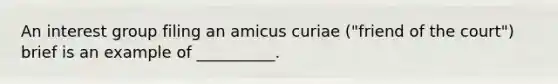 An interest group filing an amicus curiae ("friend of the court") brief is an example of __________.