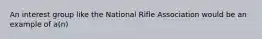 An interest group like the National Rifle Association would be an example of a(n)