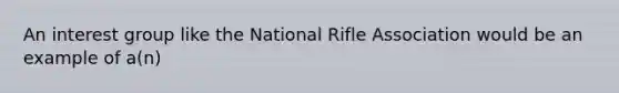 An interest group like the National Rifle Association would be an example of a(n)