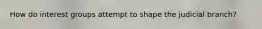 How do interest groups attempt to shape the judicial branch?