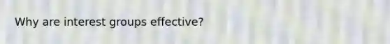 Why are interest groups effective?